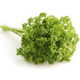 Parsley (Curly leaf) - Glavocich Produce