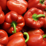 Red Capsicum Single - Glavocich Produce