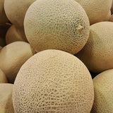 Rockmelon- Whole - Glavocich Produce